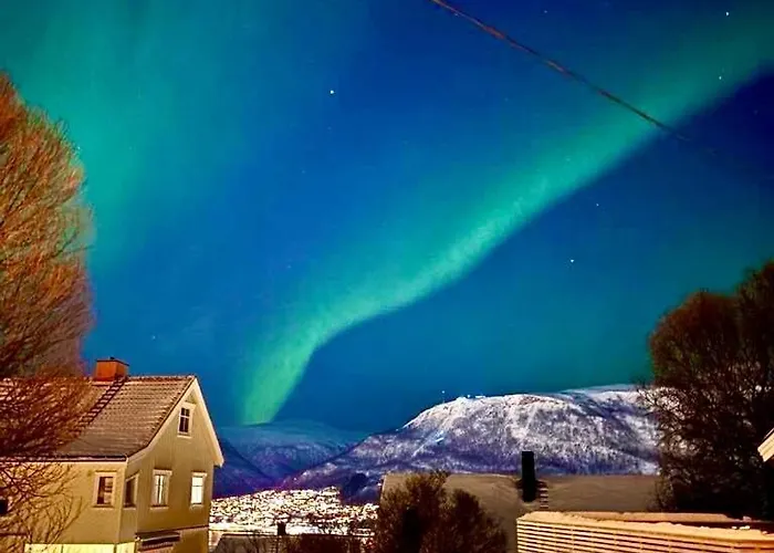 Vila Spacious House - Free Parking - King Beds *